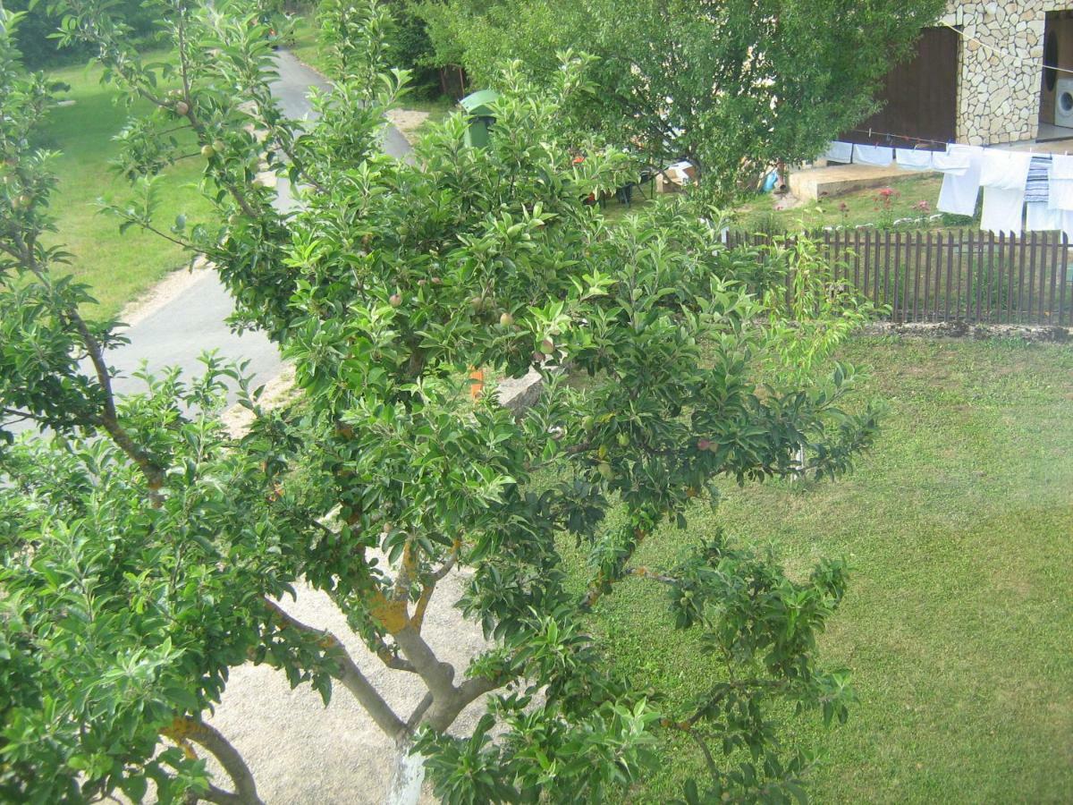 Jopa Apartment